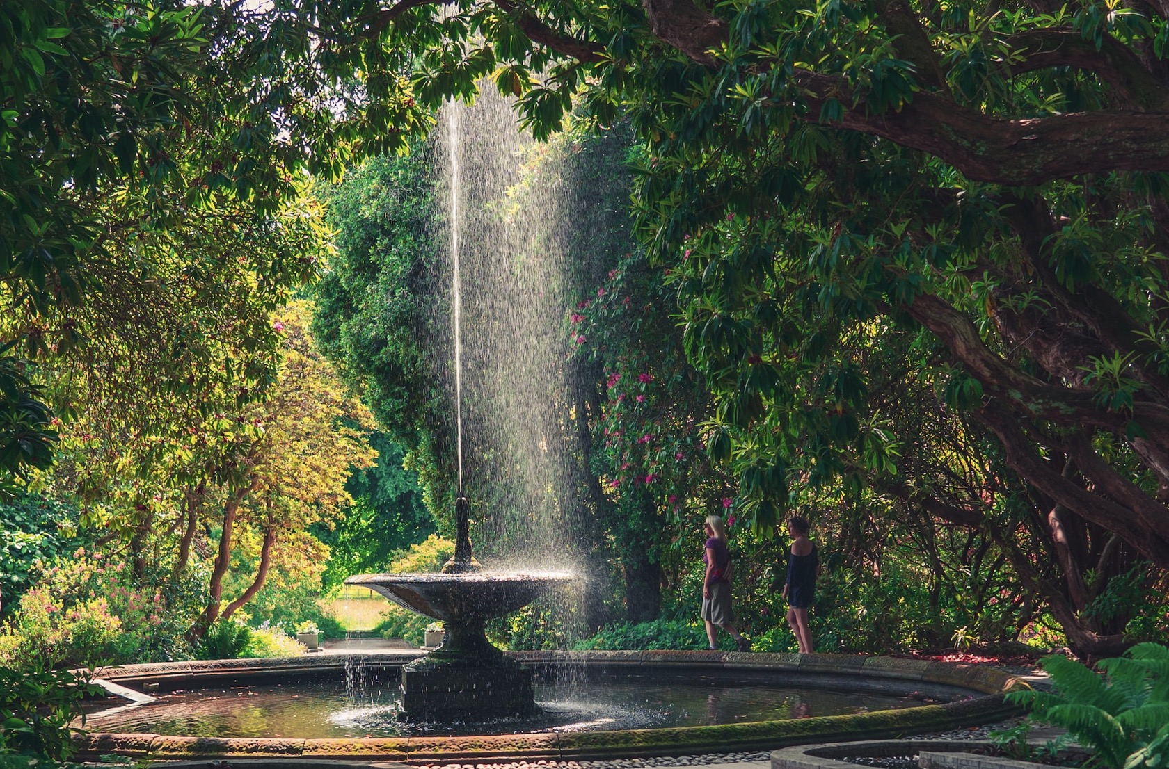 The Beauty and Zen of a Garden Fountain