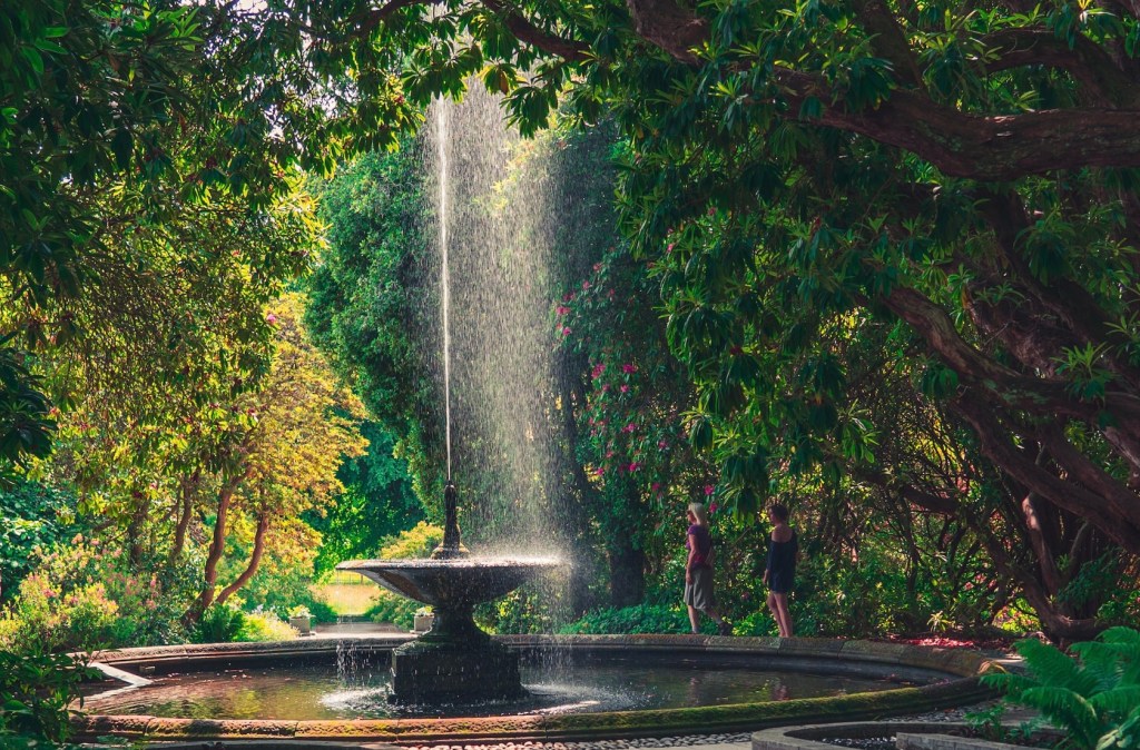The Beauty and Zen of a Garden&nbsp;Fountain