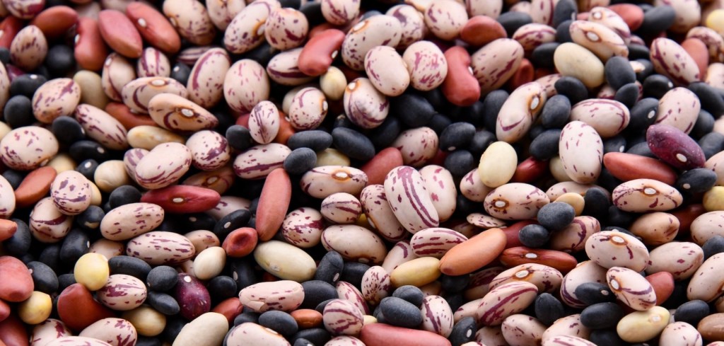 Eating More Beans Will Help Save the&nbsp;Planet