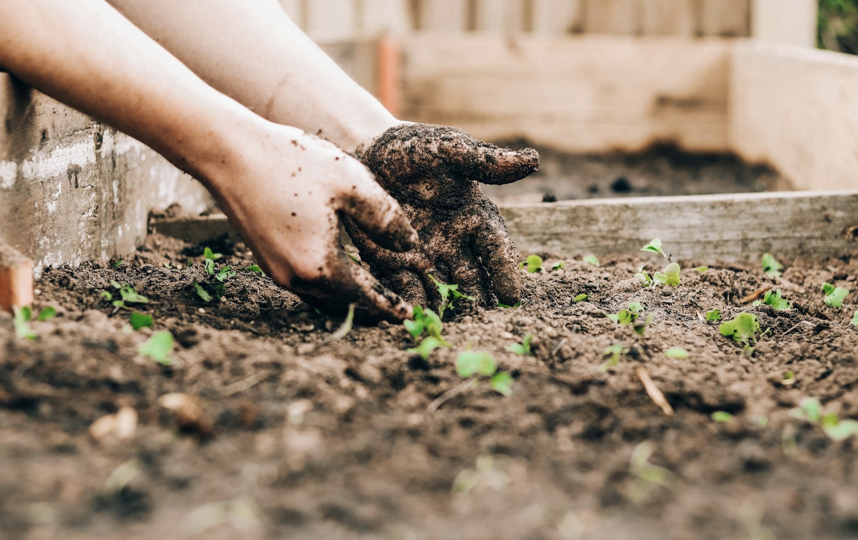 6 Tips to Follow When Starting Your Gardening Journey