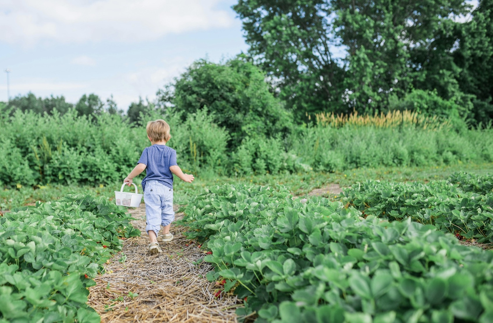 Child-Friendly Ways to Prepare the Garden for Spring