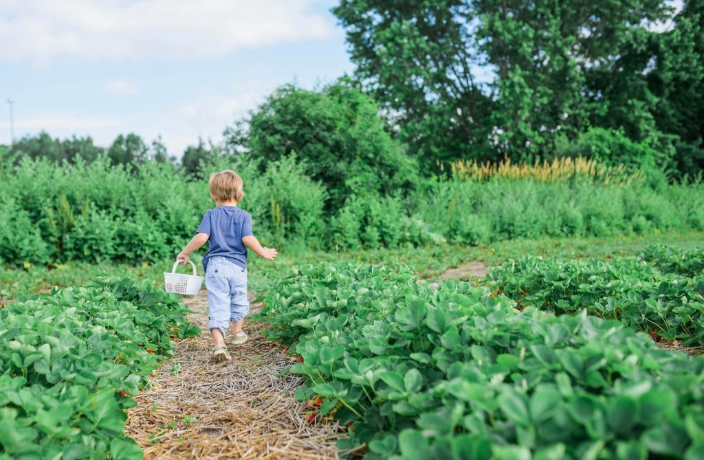Child-Friendly Ways to Prepare the Garden for&nbsp;Spring