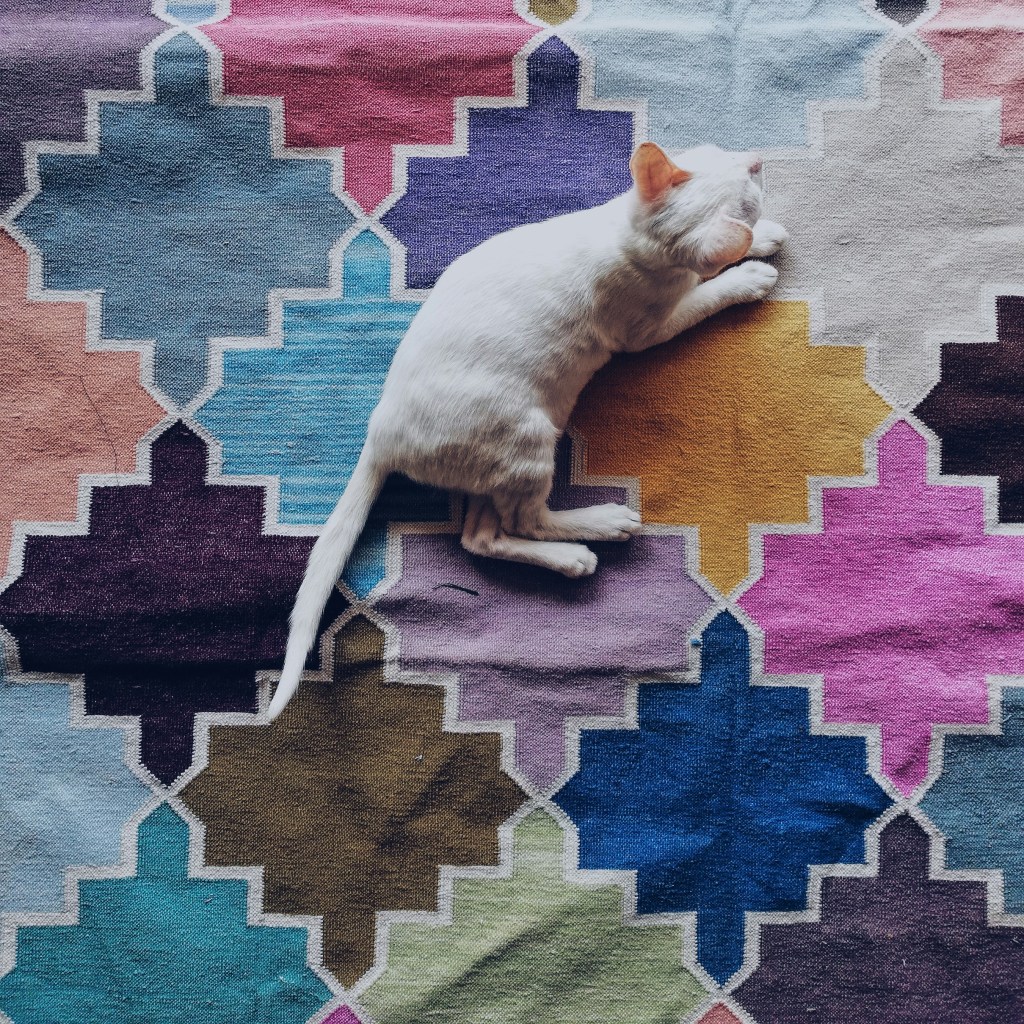 Exploring the Versatility of Flat Weave Rugs in Home&nbsp;Decor