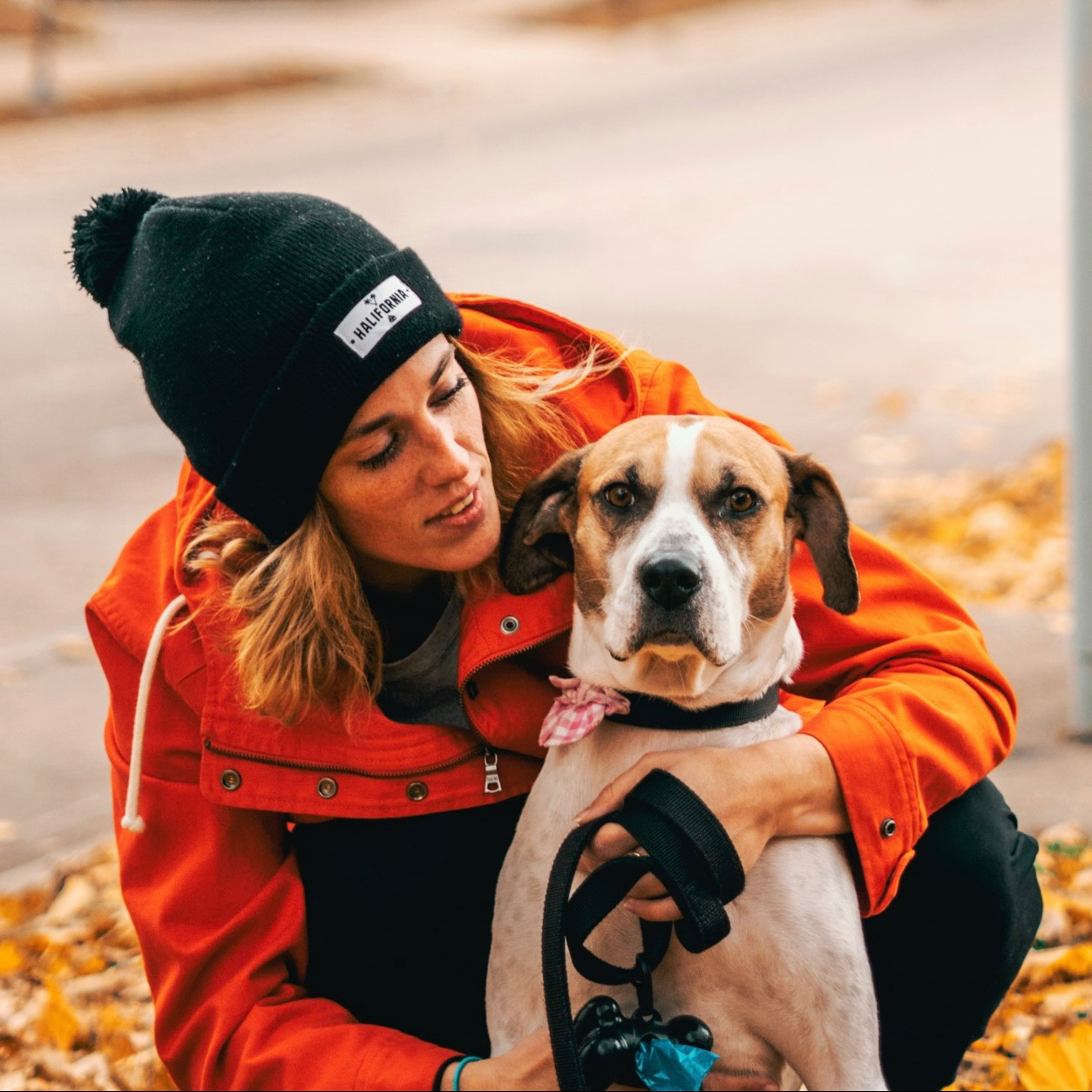 Best Ways to Go on an Adventure with Your Dog
