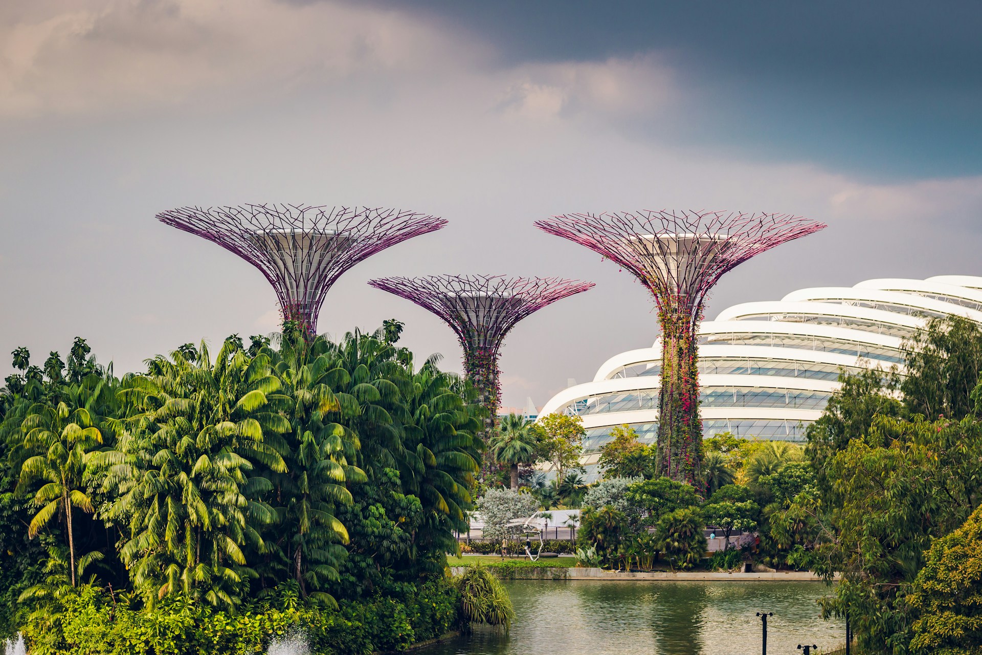 Exploring Biophilic Hospitality: Nature-Inspired Design