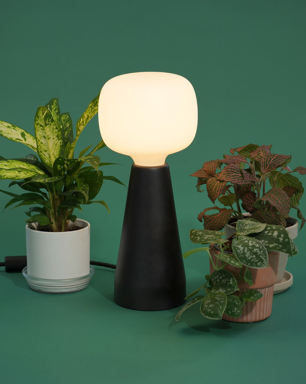 Soltech Aura grow light glowing softly between indoor plants