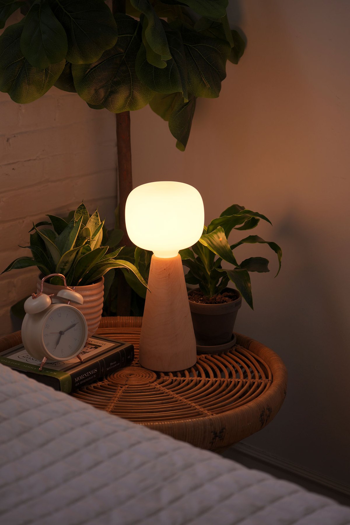 Ambient grow light with round shade on wooden base surrounded by plants