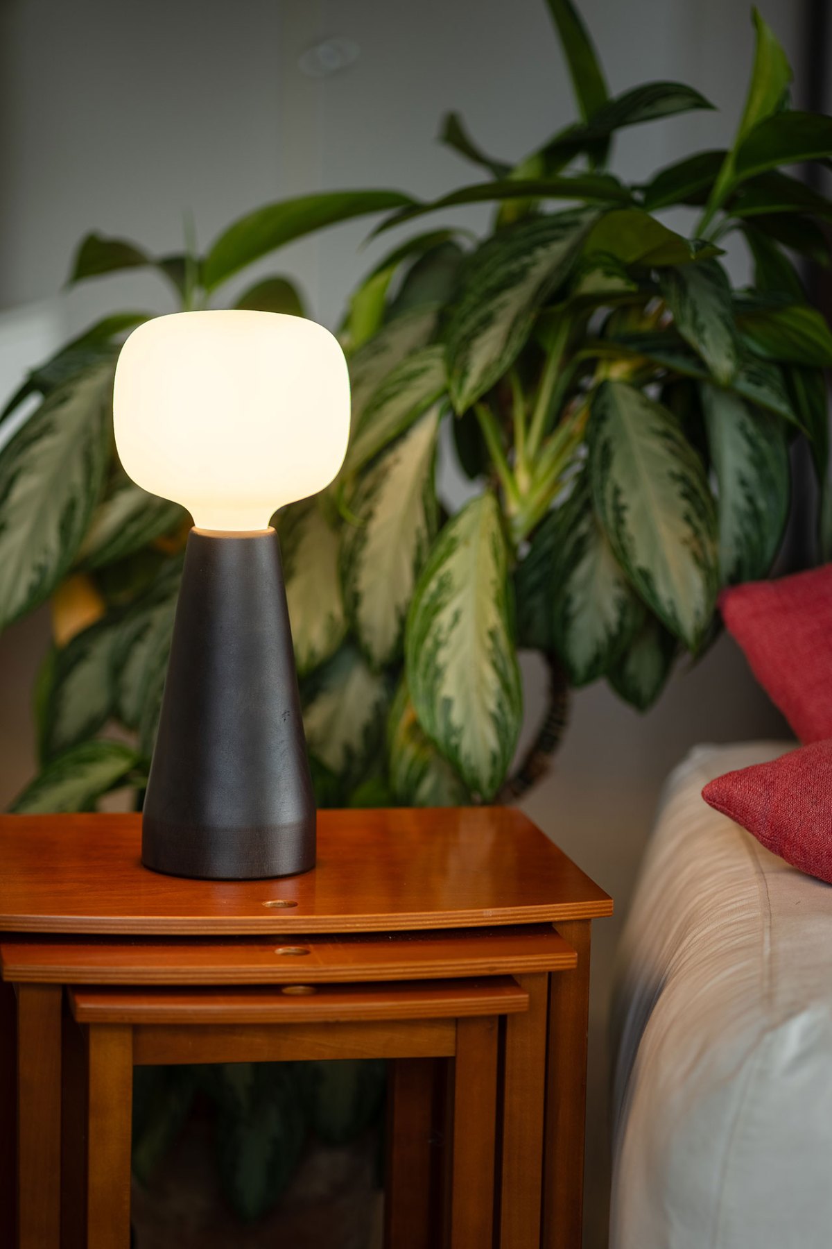 Modern frosted glass grow light lamp on wooden base with indoor plants