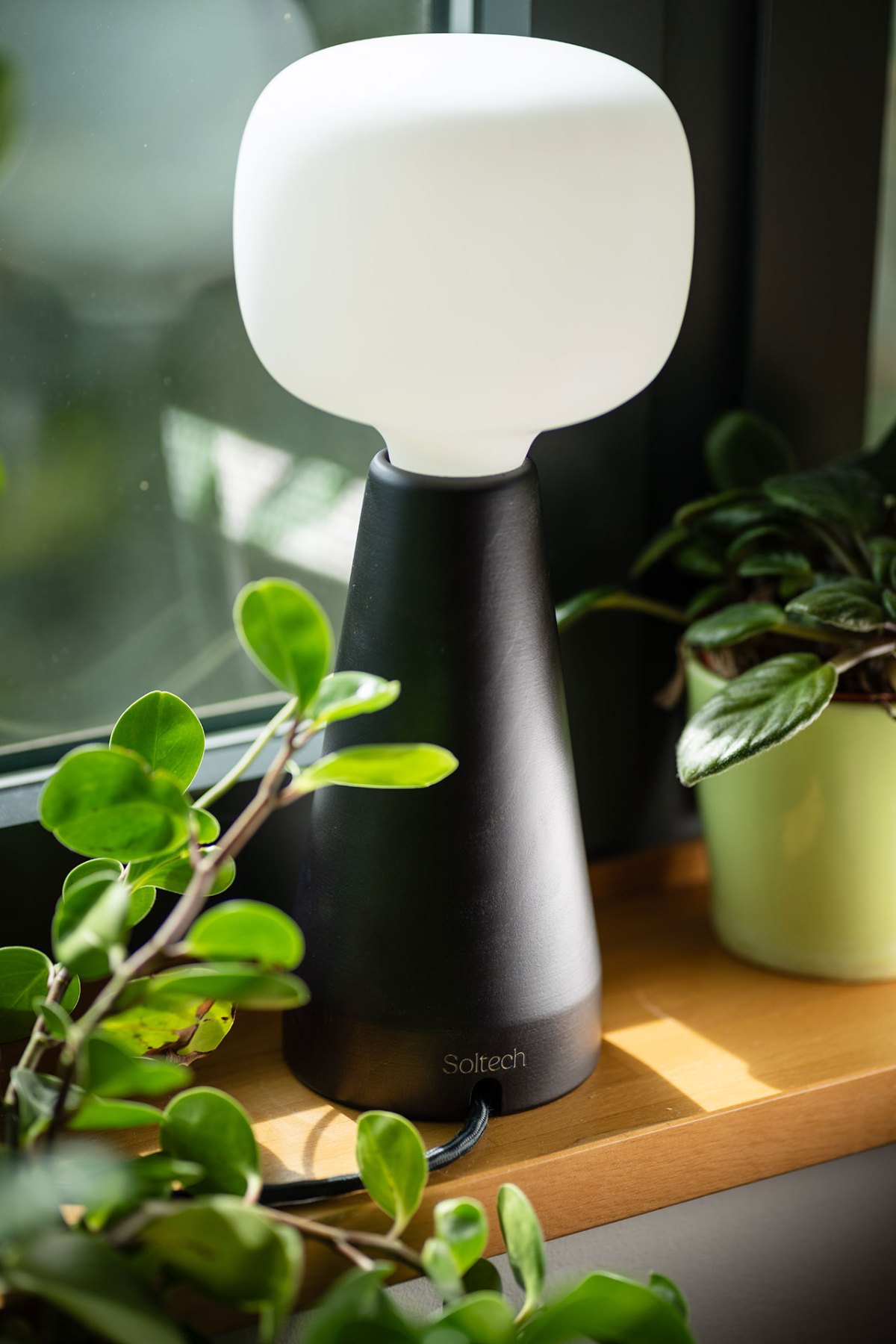 Stylish white globe grow light with black cord among indoor plants