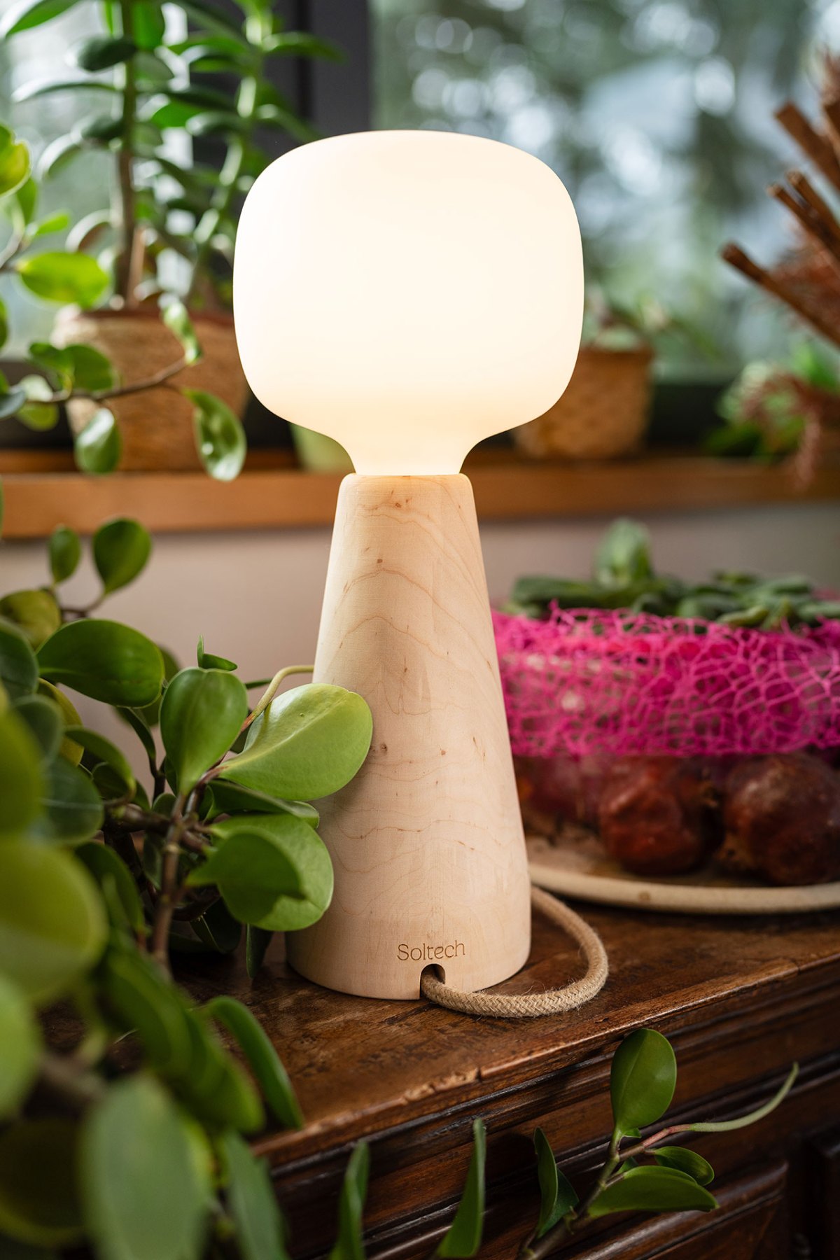 Rounded glass grow light with wooden base as stylish home decor lamp