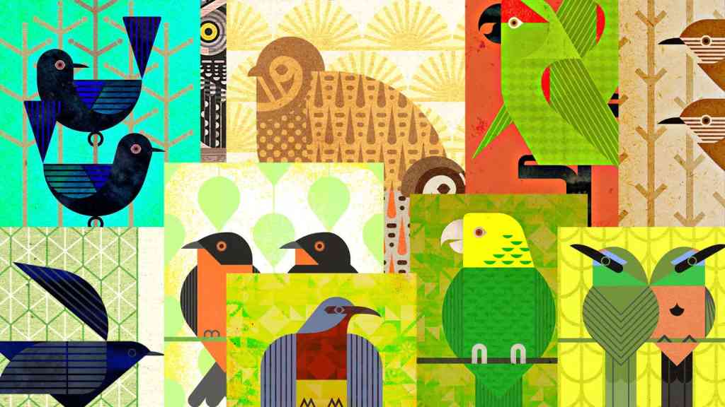 Fascinating electronic album mixes in endangered bird calls to draw attention to their plight 2