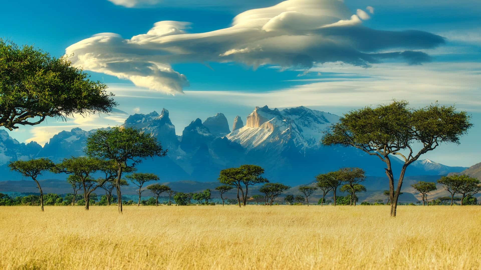 Still Here: A Love Letter to the Most Beautiful Planet We Know