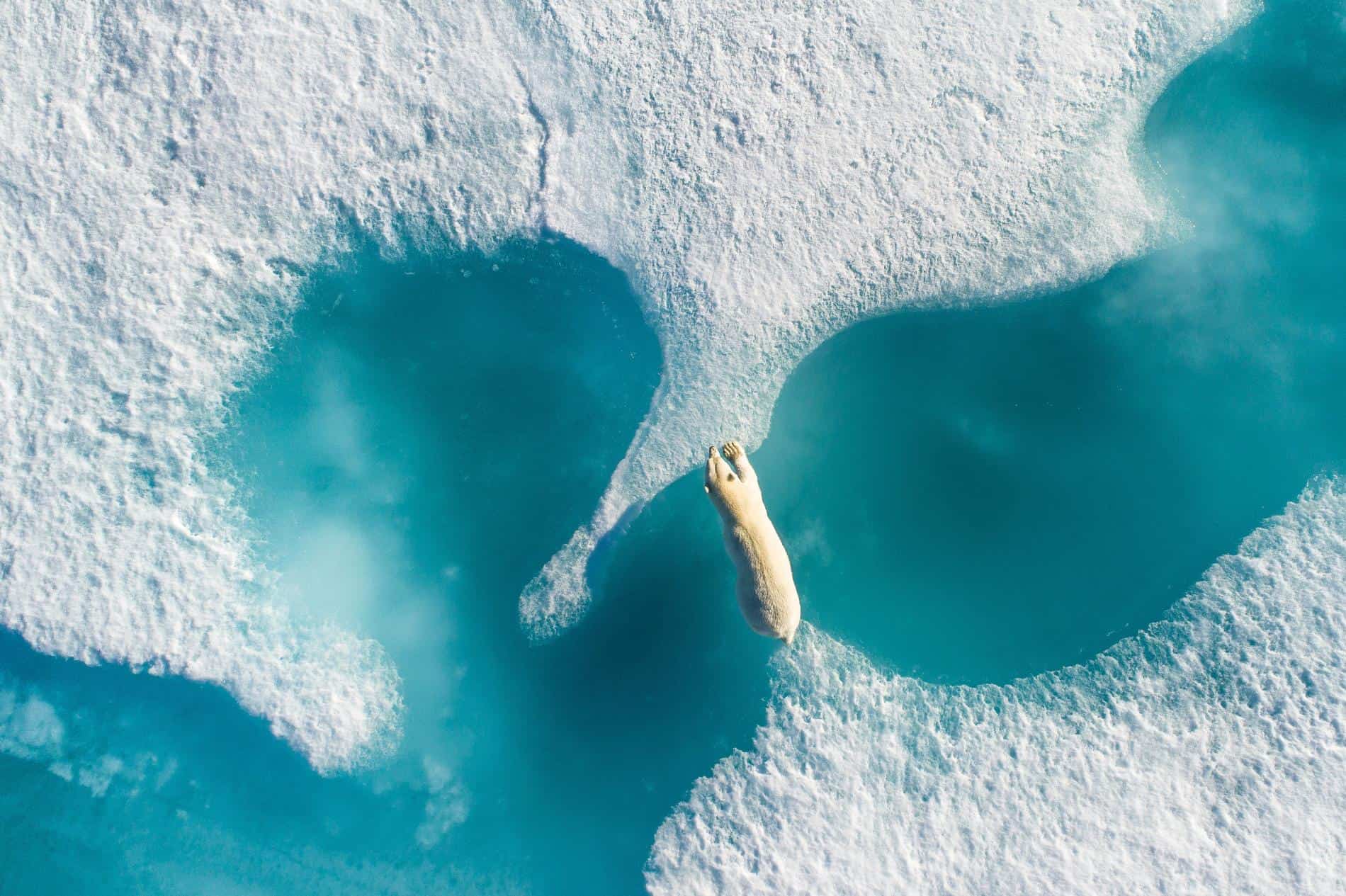 Florian Ledoux’s Aerial Arctic: A Fragile World From Above