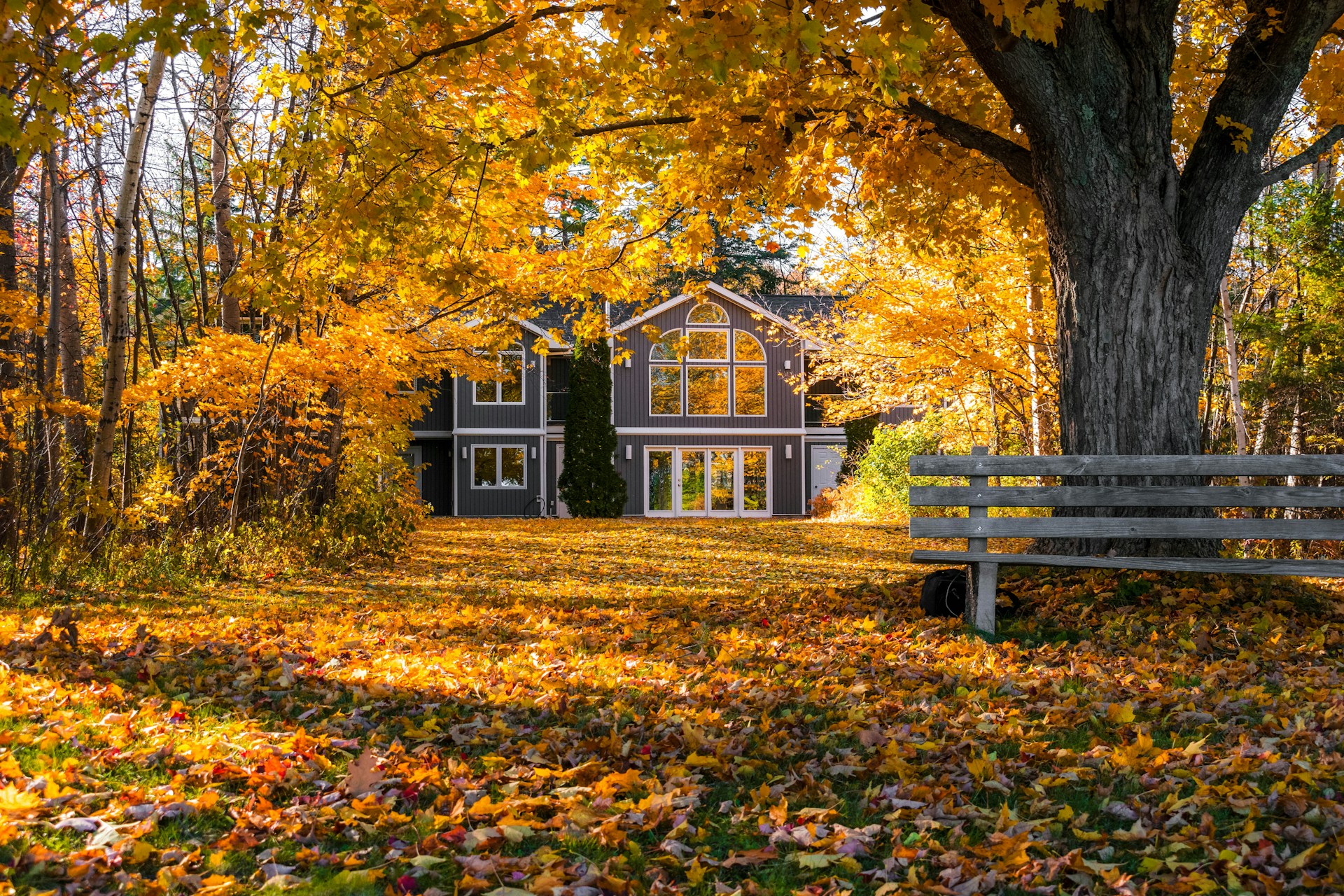 Forget Spring Cleaning. Fall Is the One That Actually Matters.