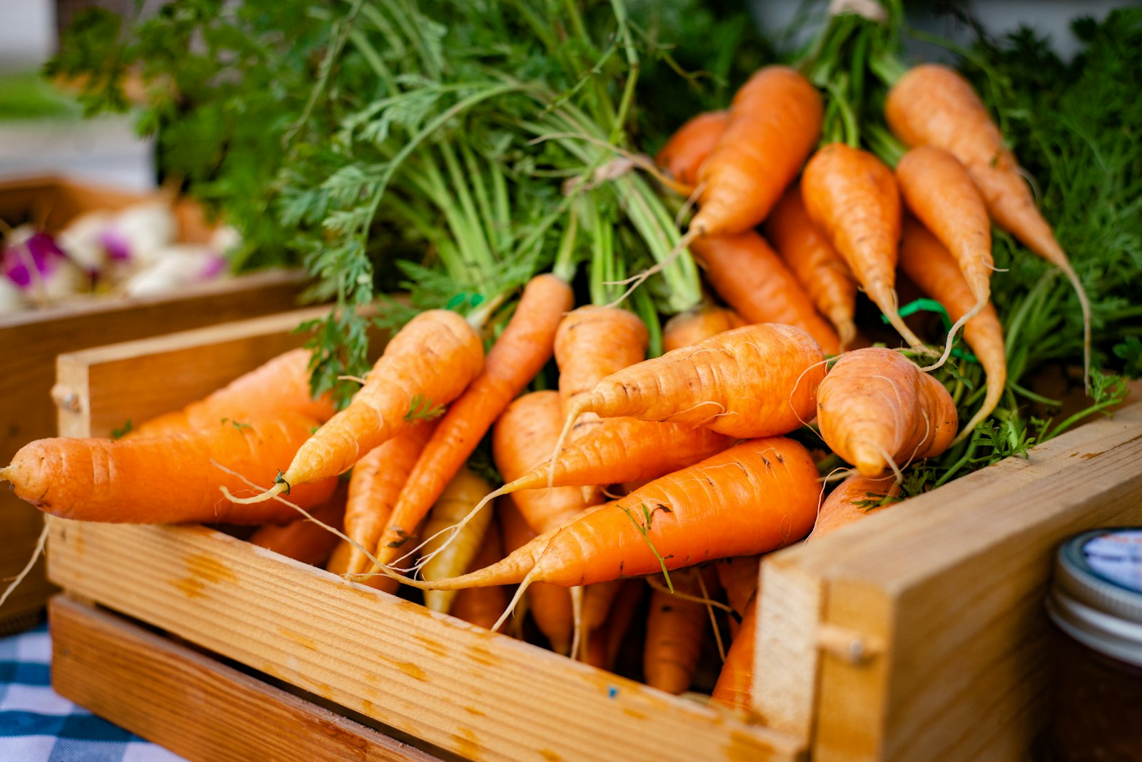 The Vegetables That Get Sweeter After a Frost (And the Ones You Need to Dig Right Now)