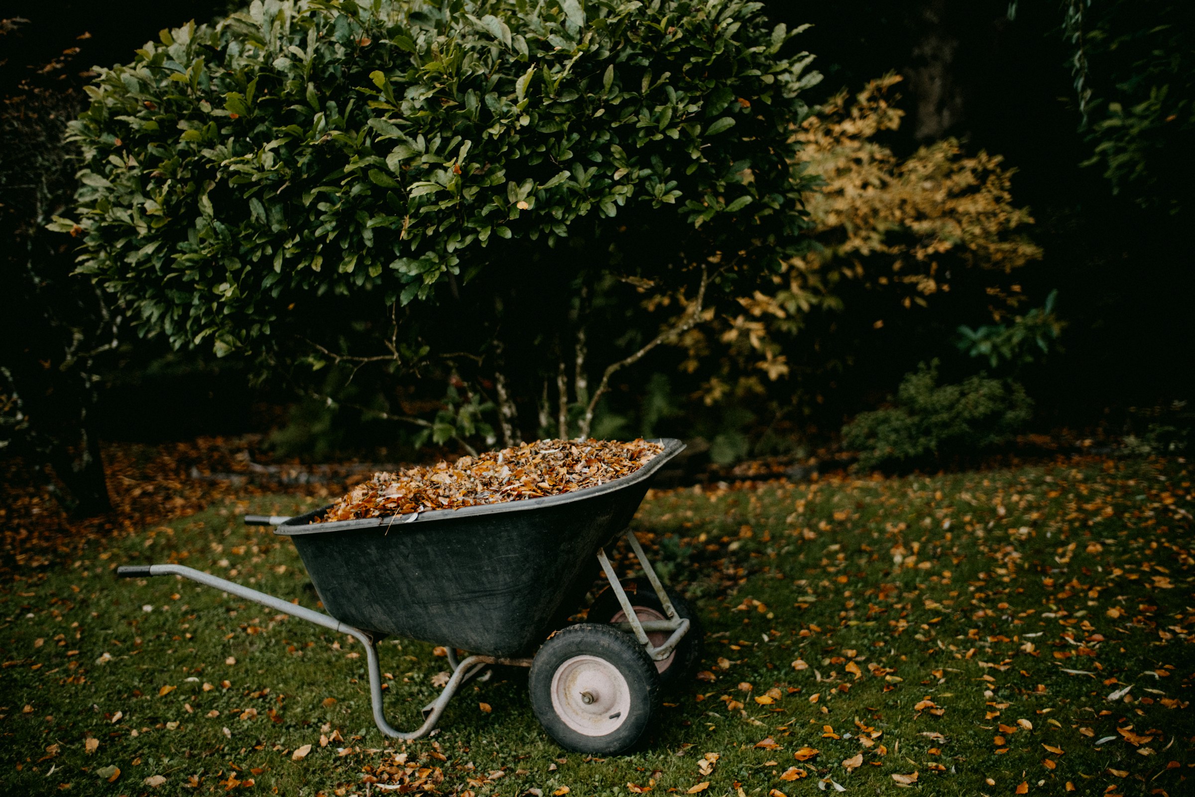 Fall Is Compost Season: How to Turn Leaves, Garden Cleanup and Pumpkins Into Next Year’s Soil